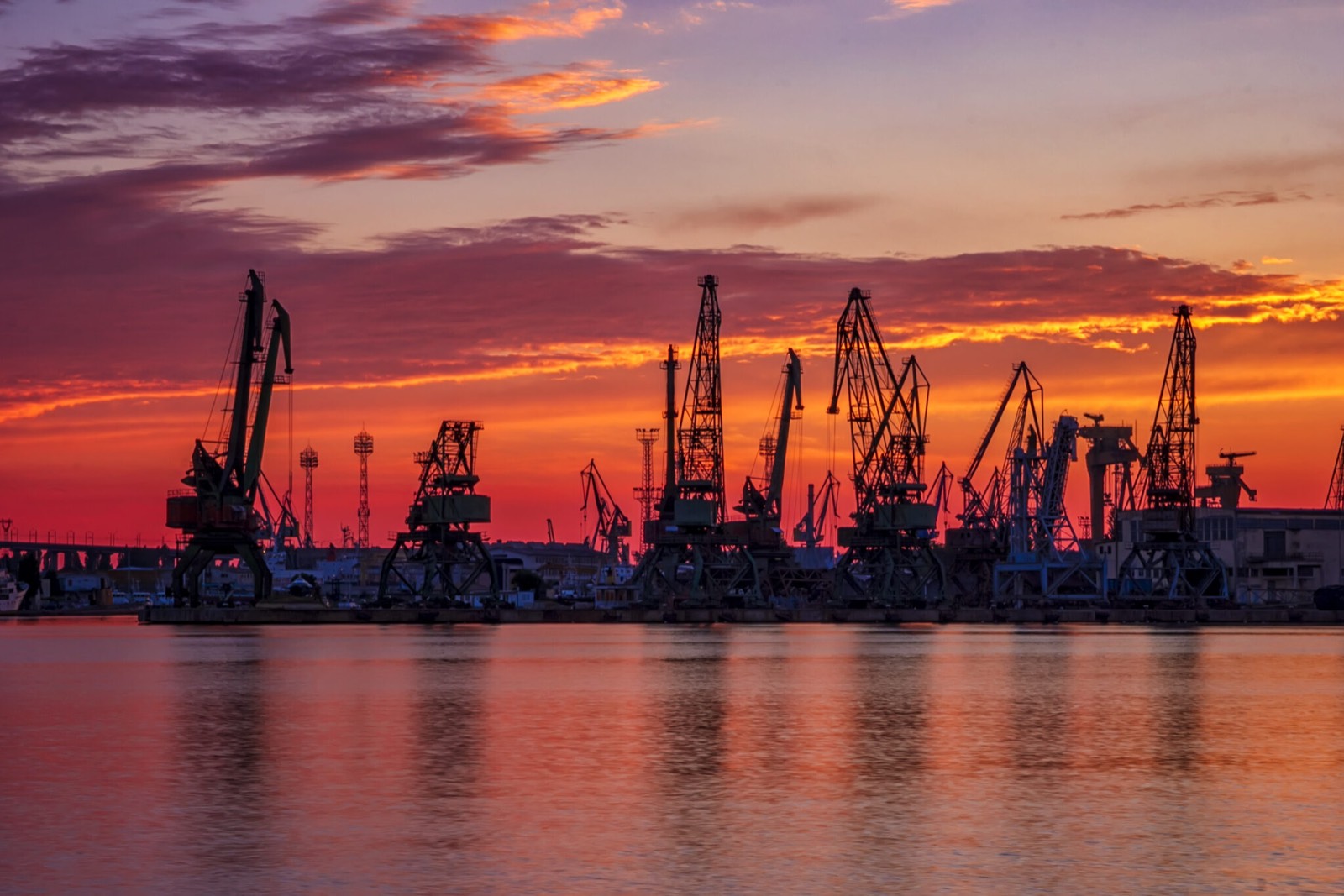 Calmocean news and insights