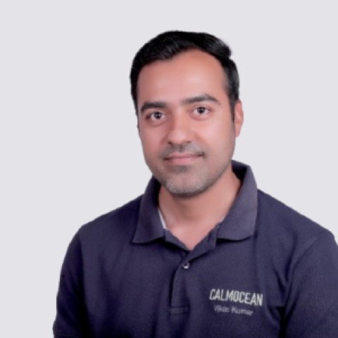 Vikas